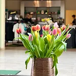 Apartment National Golf Klaipeda